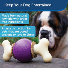 PetSafe® Busy Buddy® Bouncy Bone™, Treat Holding Dog Toy