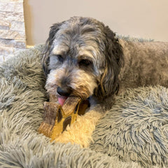 SPOT Dura-Fused Chunkies All Natural Leather and Felt Dog Toy - No Squeak, No Fluff, Durable, Extra Thick Dog Chew Toy for Aggressive Chewers, Great for Adult Dogs and Teething Puppies