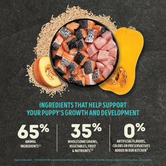 ACANA™ Wholesome Grains Dry Dog Food Puppy Sea & Farm Recipe