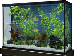 Marineland Bamboo 3 Feet, Décor For aquariums and Terrariums