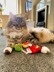 YEOWWW! Catnip Kitten Mittens, 1 Count