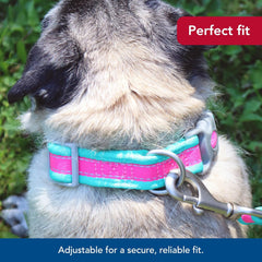 Coastal Pet - Pro - Reflective Adjustable Dog Collar, Fuscia with Teal
