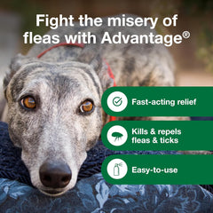 Advantage Dog Flea Treatment Spray | Kills Fleas & Ticks | Dog Flea Spray