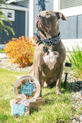 Claudia'S Canine Cuisine Peanut Butter Dog Cookies, Happy Birthday, Blue
