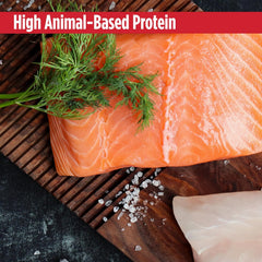 Nulo Dog Signature Stew Chicken & Salmon in Broth, 16 x 6 oz Cup