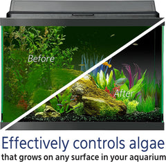 Aqueon Pond Algae Remover