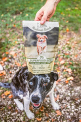 Superfood Bite, Freeze-Dried Raw Dog Treats - Protein Rich, Train & Reward, Traceable Single Ingredient by Katherine Heigl (Beef Liver)
