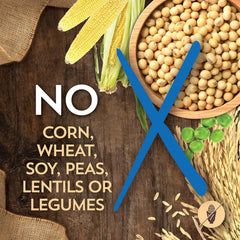 Sensitive Skin & Stomach with Salmon Protein & Ancient Grains Dry Food for Dogs & Puppies (30 lb. Bag)