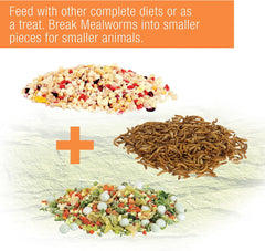 Zilla Reptile Munchies Mealworm .5 Ounces