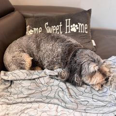 SPOT Snuggler Bones Blanket - Ultra Soft, Machine Washable Dog Blanket for Beds, Furniture Protection, Travel, and Crates