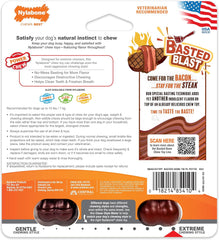 Nylabone Original & Textured Bone Power Chew Toy for Dogs, Durable & Tough Dog Toys for Aggressive Chewers, Basted Blast Bacon and Steak Flavor