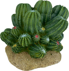 Multi Pet 48593321: Komodo Cactus Plant Barrel, 4In