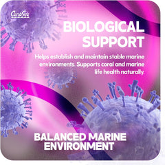 CaribSea LifeRock Base Rock - 40 lbs - Natural Aragonite Rock for Custom Aquascaping, Supports Marine & Reef Environments, Enhances Tank Stability