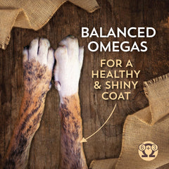 Sensitive Skin & Stomach with Lamb Protein & Ancient Grains Dry Food for Dogs & Puppies (30 lb. Bag)