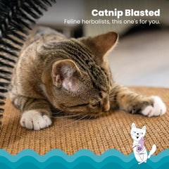 Petstages Catstages Scratch & Groom Cat Scratcher with Removable Curved Brush for Self-Grooming Station, Orange