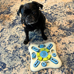 SPOT Seek A Treat Slide' N Turn Puzzle -Interactive Dog Puzzle Toy for Small, Medium & Large Smart Dogs and Cats, Squeaky, Enrichment and Mentally Stimulating Toy for Training and Boredom Buster