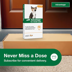 Advantage™ for Small Cats – 2-Month Supply