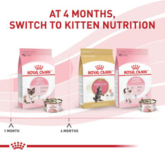 Royal Canin Feline Health Nutrition Mother & Babycat Ultra Soft Mousse in Sauce Canned Cat Food, 3 oz can (12-count)