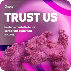 CaribSea LifeRock Arches - 20 lb Box with Four 12" Rocks - Natural Aragonite for Aquascaping, Supports Coral Growth & Ideal for Marine & Reef Tanks