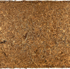 Komodo Coconut Coir Peat Brick | 100% Natural Coconut Coir Reptile Terrarium Habitat Bedding | for Tropical or Desert Environments | Fits up to a 20 Gallon Tank