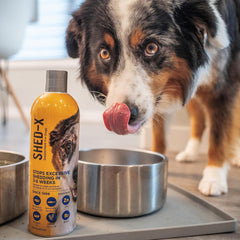 Shed-X Liquid Dog Supplement – 100% Natural – Helps Control Excessive Dog Shedding with Fish Oil for Dogs Supplement of Essential Fatty Acids, Vitamins, and Minerals