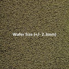 Ocean Nutrition Shrimp Wafers - Sinking Shrimp Food for Freshwater Shrimp Tank (Neocaridina, Caridina, Ghost Shrimp Live, Amano, Cherry) - Enriched with Essential Vitamins & Proteins - 0.53 oz (15 g)