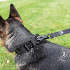 Operation Good Boy Tactical Collar (Black) - Durable & Strong - Includes Quick Release Buckle and Military Grade Handle - Veteran Owned and Operated