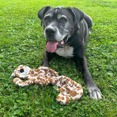 Skinneeez Tons-O-Squeakers Jungle Cat Dog Toy - 19 Squeakers for Tons-O-Fun! Stuffing-Free Design Perfect for Moderate Chewers, Tug Toy for Medium to Large Puppies & Dogs - 20in, Style May Vary