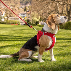 Curli Magnetic Vest Harness Air-Mesh Red