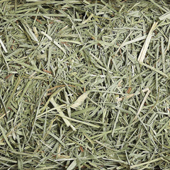 Sun Seed Company Sunnatural Select Spring Harvest Small Animal Timothy Hay