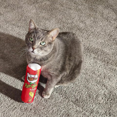 SPOT Ethical Products Fun Food PURRGLES Kicker 8"