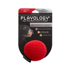 Playology All Natural Beef Scented Plush Squeaky Ball Small