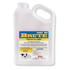 Brute Pour-On Insecticide Gallon