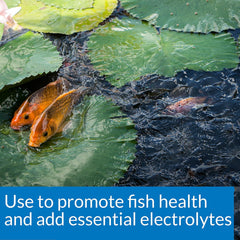 API POND SALT Pond Water Salt