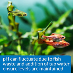 API PH TEST KIT 250-Test Freshwater Aquarium Water pH Test Kit