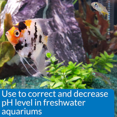 API pH DOWN Freshwater Aquarium Water pH Reducing Solution