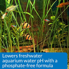 API pH DOWN Freshwater Aquarium Water pH Reducing Solution