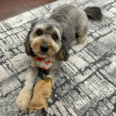 SPOT Dura-Fused Leather - Durable Dog Toy with Squeaker, Real Leather & Jute Fabric, Interactive Toy for Moderate & Aggressive Chewers, Small and Medium Dogs and Puppies