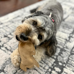 SPOT Dura-Fused Leather - Durable Dog Toy with Squeaker, Real Leather & Jute Fabric, Interactive Toy for Moderate & Aggressive Chewers, Small and Medium Dogs and Puppies