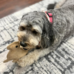 SPOT Dura-Fused Leather - Durable Dog Toy with Squeaker, Real Leather & Jute Fabric, Interactive Toy for Moderate & Aggressive Chewers, Small and Medium Dogs and Puppies