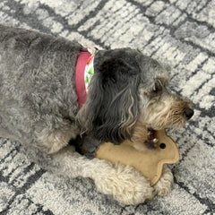 SPOT Dura-Fused Leather - Durable Dog Toy with Squeaker, Real Leather & Jute Fabric, Interactive Toy for Moderate & Aggressive Chewers, Small and Medium Dogs and Puppies