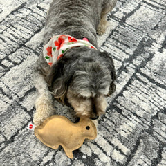 SPOT Dura-Fused Leather - Durable Dog Toy with Squeaker, Real Leather & Jute Fabric, Interactive Toy for Moderate & Aggressive Chewers, Small and Medium Dogs and Puppies