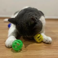 SPOT Slotted Balls Cat Toy - Interactive Cat Toys for Indoor Cats to Chase, Hunt and Stimulate - Jingle Bell Inside for Sound When Batted Around - Safe and Non-Toxic - 1.5" Assorted 4-Pack