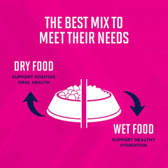 Eukanuba Senior Medium Breed Dry Dog Food, 15 lb