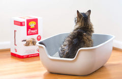 Dr. Elsey's Precious Cat Attract Problem Cat Training Litter