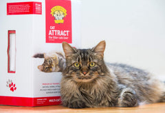 Dr. Elsey's Precious Cat Attract Problem Cat Training Litter