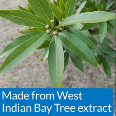 API POND PIMAFIX Antifungal Pond Fish Infection Remedy