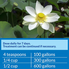 API POND PIMAFIX Antifungal Pond Fish Infection Remedy