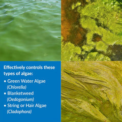 API POND ALGAEFIX Algae Control