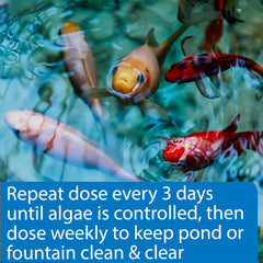 API POND ALGAEFIX Algae Control